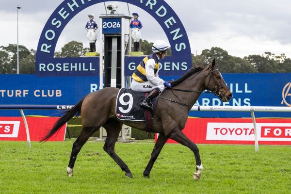 King Pedro elevated as Sober sidelined
