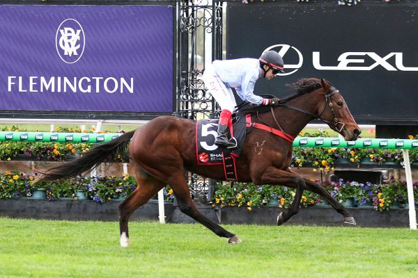 Progressive Brillantezza dominates Mahogany Final