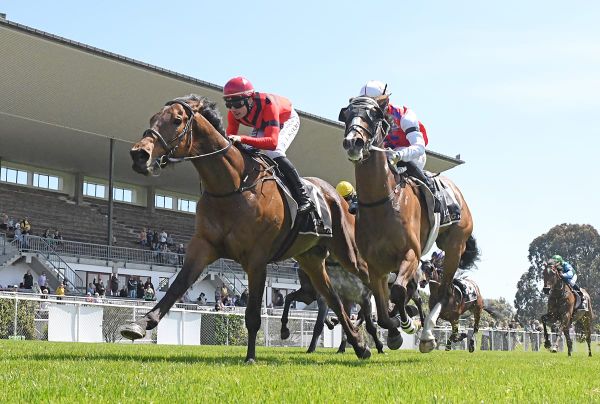 Cheval de Foudre seeking elusive win