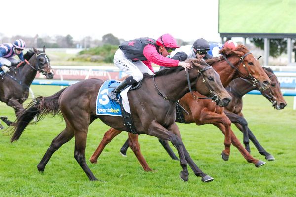 Three in a row for Coeur Volante