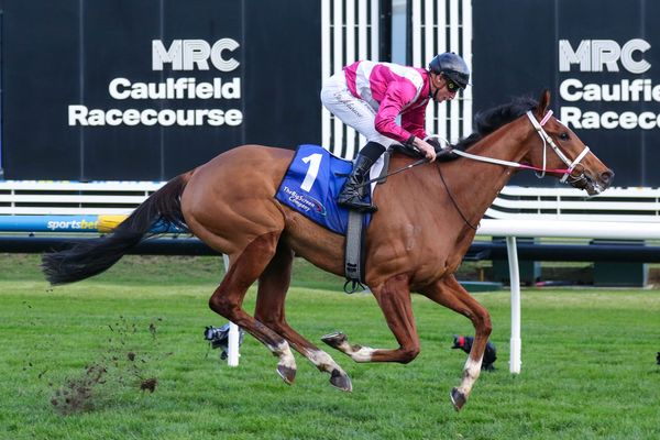 Cosmic Crusader shines in Melbourne debut