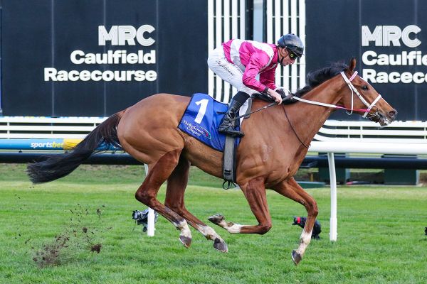 How Cosmic Crusader found his palate for racing
