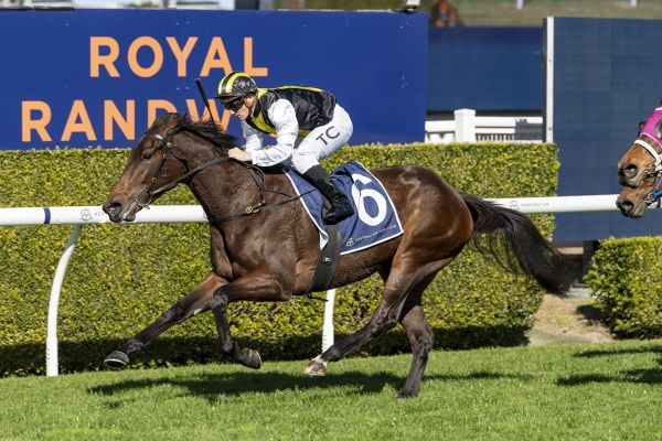 Classy Karaka purchase shines in Super Maiden victory.