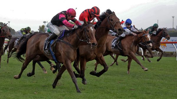 Diamond Jak defends Taumarunui Gold Cup crown