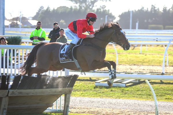 Powerful trio for local trainers in Hawke’s Bay Hurdle