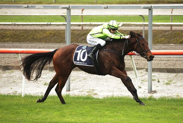 Diva fronts stable’s two-year-old challenge