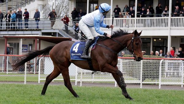 Duke Of Plumpton’s rapid rise continues at Te Aroha