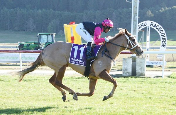 Glam win by promising two-year-old