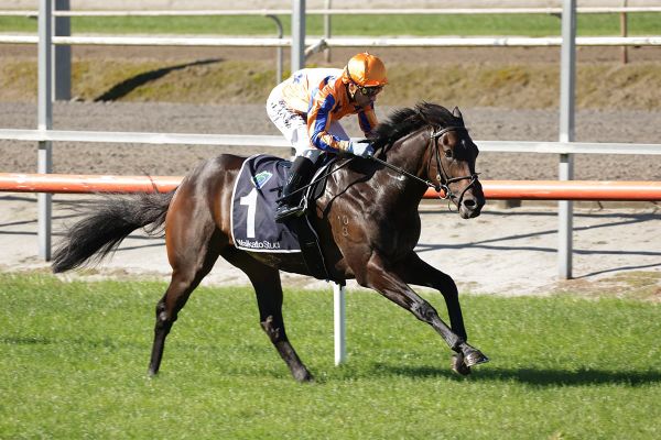 Promising juvenile seeking to join Te Akau stakes Honour Roll