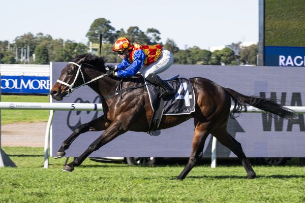 Hello Captain bounces back with dominant Rosehill win