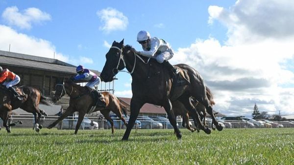 Gordon chasing stakes success with Gavelhouse pair