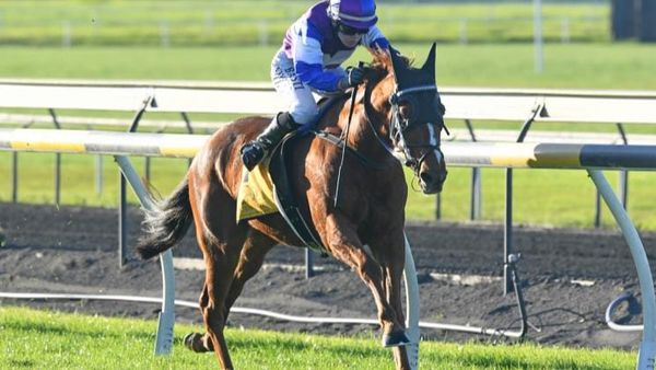 Mentor’s advice still ringing true for Egan
