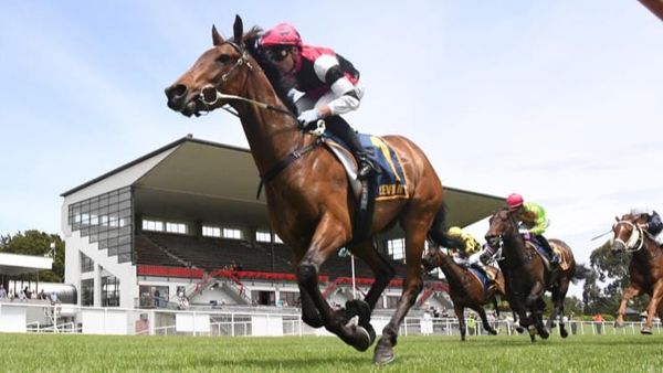 New trainer and new targets for Freddie Time