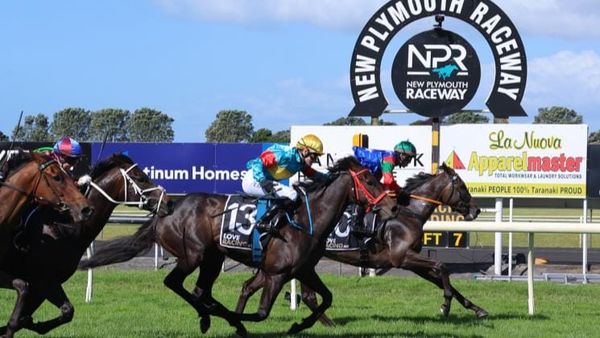 Stablemates in good touch for Taranaki return