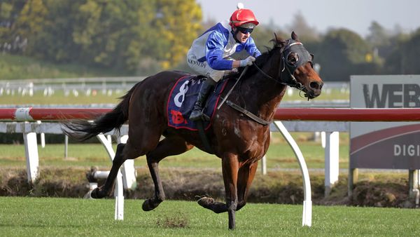 Jethro Tull sings a winning tune at Te Rapa