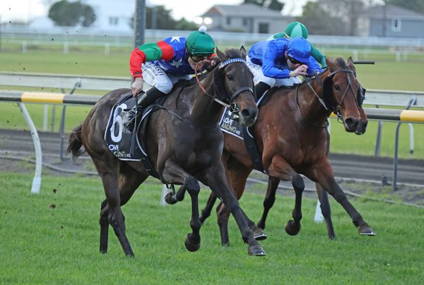Te Aroha mare loves New Plymouth