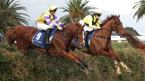 Jerricoop impressive in steeplechasing debut