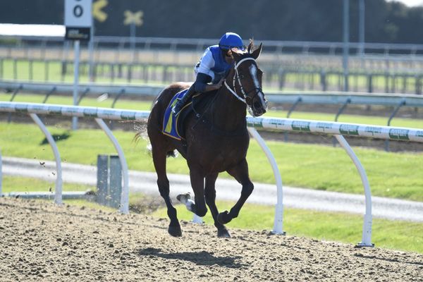 Group Two performer returning to favourite surface