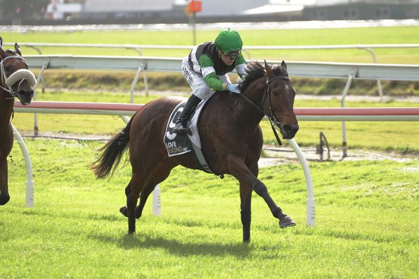 Blinkers key to Loch Katrine’s Otaki chances