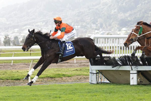 Patience paying off with jumping newbie