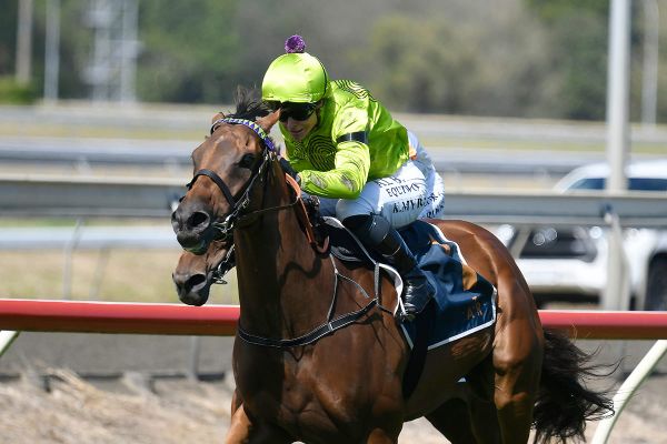 Te Aroha trainer to unlock talent at Waverley