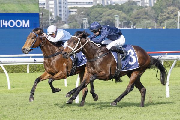 Proxima Dea delivers on debut
