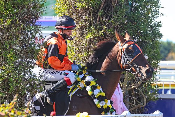 Connections eying another crack at winter feature