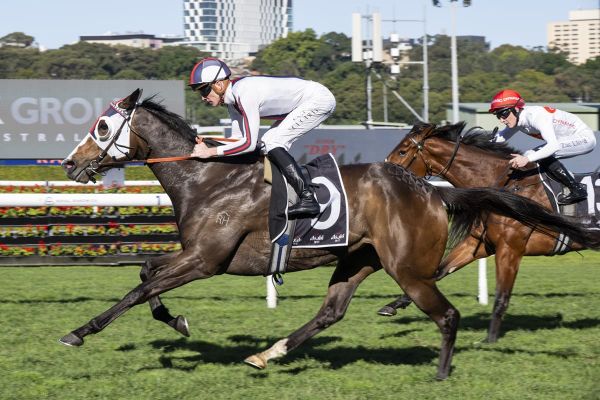 Satono Jasmine blooms with four straight wins