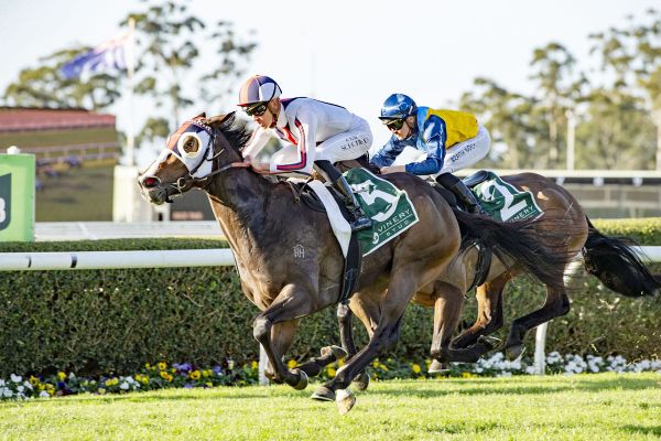 In-form Jasmine has sweet smell of success