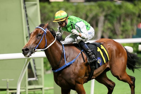 Target Audience to hit target for Fownes