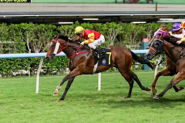 Frankie Lor chasing Eight To Glory with The Azure
