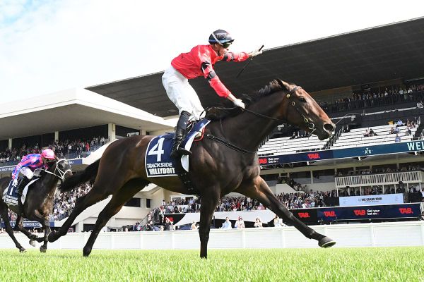 Willydoit on track for spring return