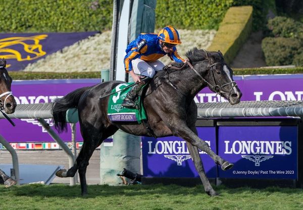 Auguste Rodin colt sells for NZ$930,000 in Japan