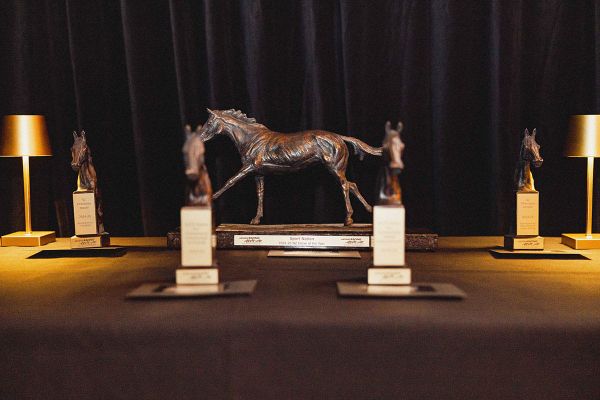 Finalists Announced for 2025–26 New Zealand Thoroughbred Horse of the Year Awards