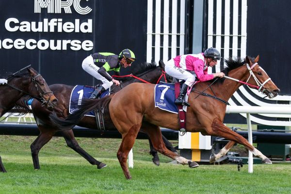 Peters weighs up Cosmic Crusader's options