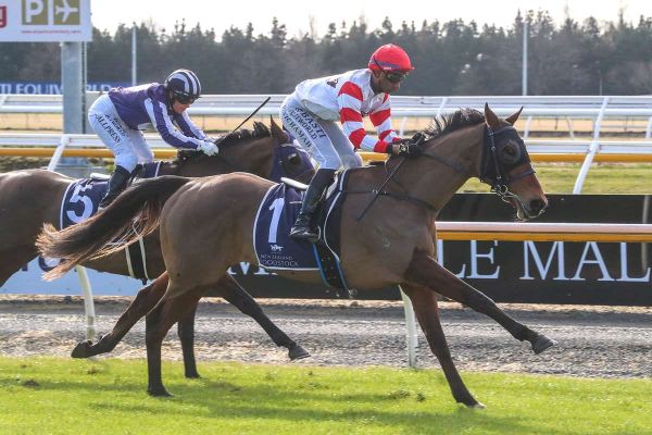 Furlong seeking poly winners as promising 3YO sold