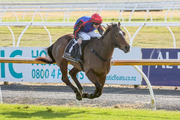 Affordable takes first Riccarton jumps feature