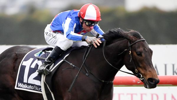 Alabama Lass dominates proceedings in Foxbridge Plate