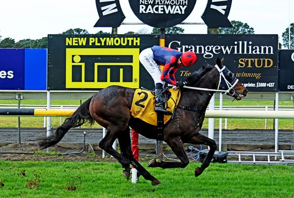 Ayteem dominant at New Plymouth