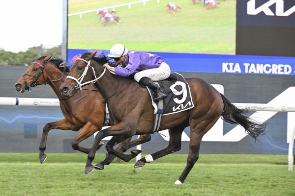 Why Waller is Verry keen on the Cox Plate with Aeliana