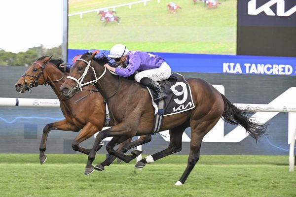 Cup favourite Aeliana set for Memsie detour