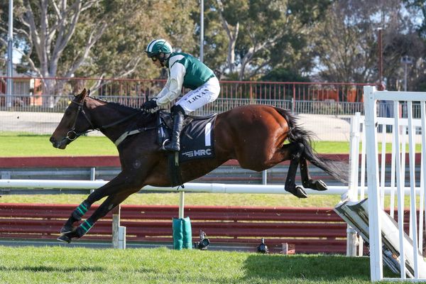 Andy Win toughs out Grand National Hurdle win