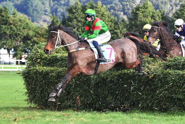 Brucie takes aim at northern jumping features