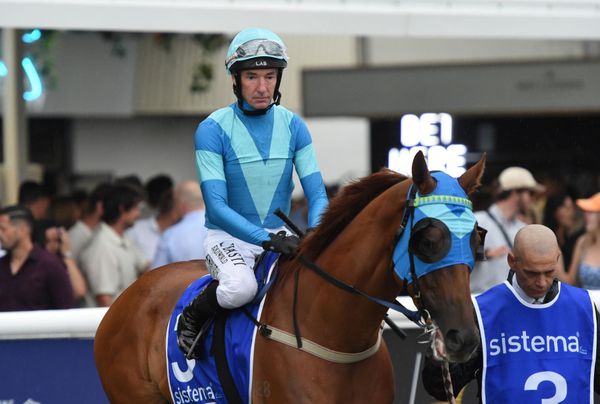 Crocetti looks set for Spring targets