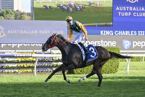 Timing right for Ceolwulf to spring back into form