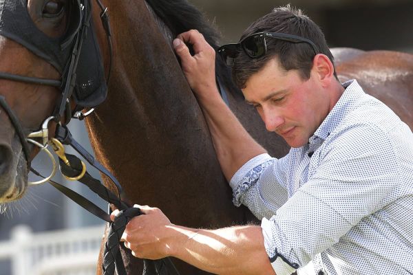 Cole successful in appeal against disqualification