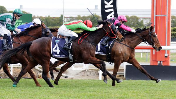 Brosnan scores quickfire double at Te Rapa