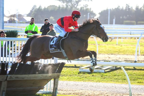 Dictation seeking redemption in Grand National Hurdles