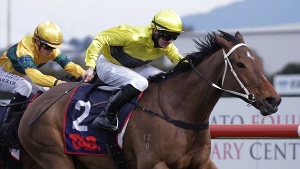 Dusty Road back in business on favourite track