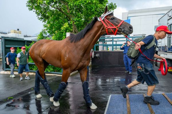 Fast Network Japan-bound for Group One mission